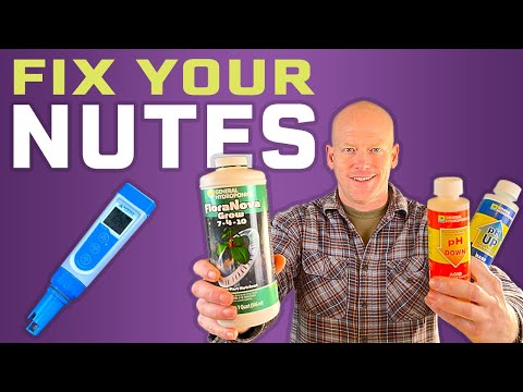 How to Adjust Hydroponic Nutrients for Beginners