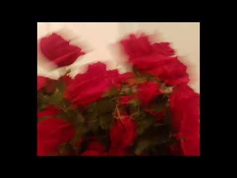 *free* Cuco x Clairo x Bedroom pop type beat "charming"