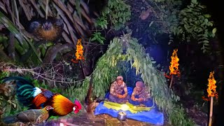 Download lagu SURVIVAL MALAM HARI DI HUTAN‼️MEMBIKIN SHELTER,BERBURU AYAM HUTAN DAN MASAK DI TEMPAT mp3