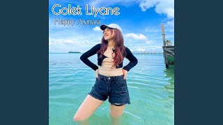 Download lagu GOLEK LIYANE (Remix) mp3