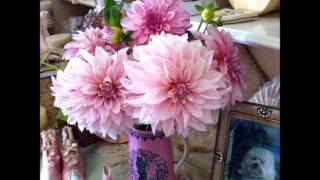 They Cant take that away