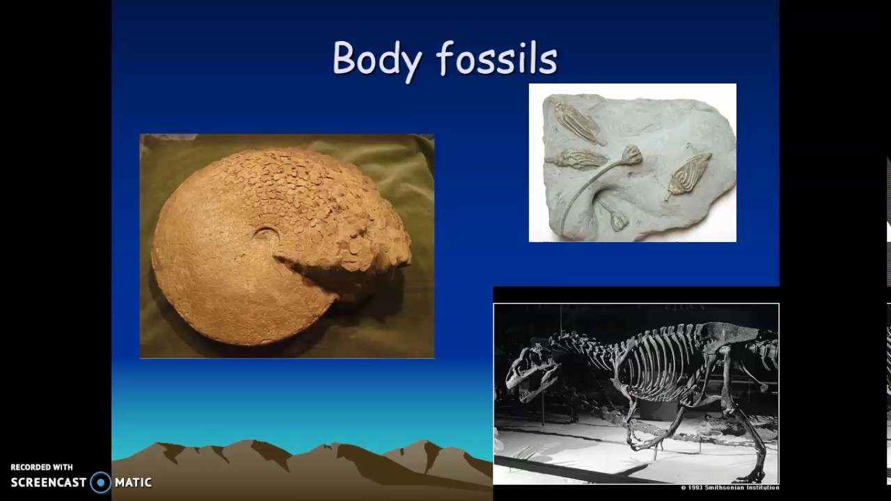 Fossil PowerPoint