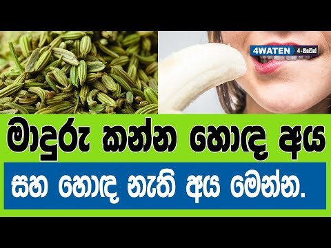 download lagu mp3 mp4 Fennel In Sinhala, download lagu Fennel In Sinhala gratis, unduh video klip Fennel In Sinhala