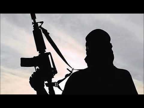 Rovira RSN Terrorista