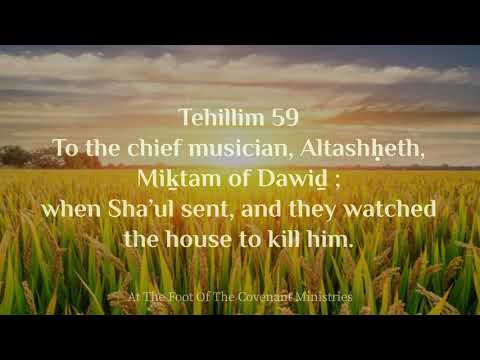 Tehillim 59