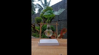 bulb plant setting | easy garden ideas | Garden craft #creatorstechworld #shorts