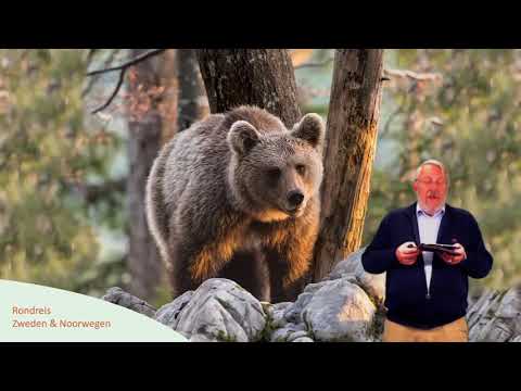 ACSI Online Inspiratiedagen - Rondreis Zweden en Noorwegen