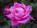 SHE - Jack Jones (Lyrics)