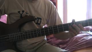 The Vines - Merrygoround (bass cover)