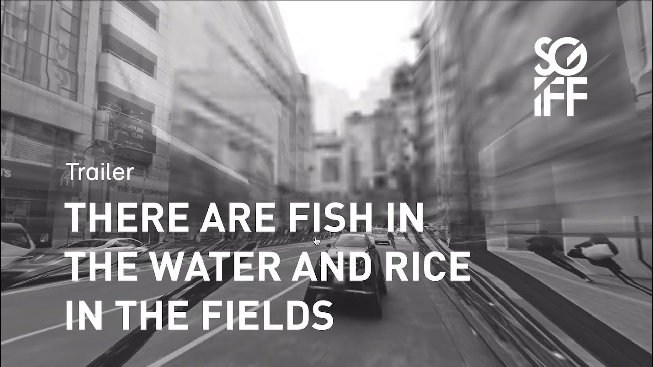 There are Fish in the Water and Rice in the Fields Trailer | SGIFF 2022