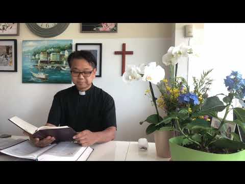 Family Devotion #12 Morning Prayer LSB 235