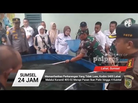 Memanfaatkan Pekarangan Yang Tidak Luas Kodim 0405 Lahat