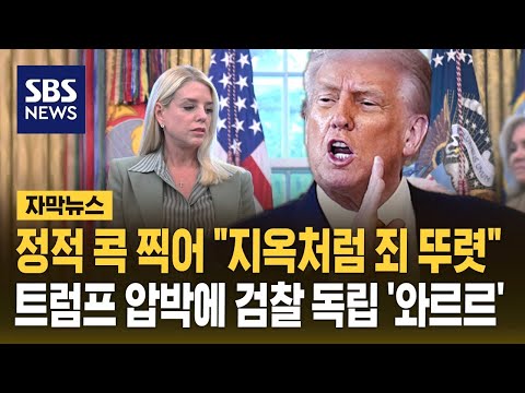 현직 대통령이 공개적으로 정적들에 대한 하명수사를 지시하는 나라