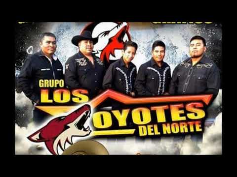 LOS COYOTES DEL NORTE  - UN PUÑO DE  TIERRA Y OTRAS