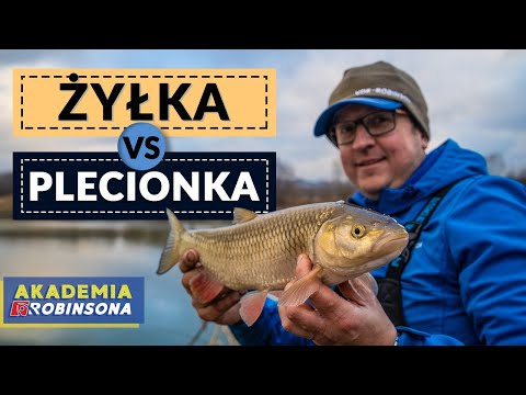 PLECIONKA vs ŻYŁKA! Zimowy feeder w rzece🎣🎣 AKADEMIAROBINSONA#33