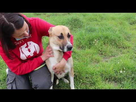 Vídeo de MADONA