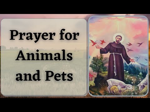 Prayer for Animals and Pets | St. Francis of Assisi Prayer - Goodwill Prayers