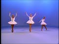 Classic Sesame Street Dance Theater Of Halem 5 Birds