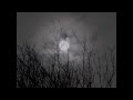 02 "Ghosts" by R.B. Russell and Lidwine