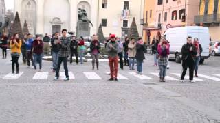 preview picture of video 'One Billion Rising - Carmagnola 14/02/2013'