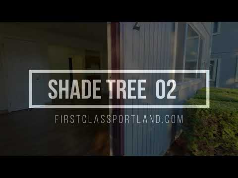 SHADETREE - Video 2 of 2