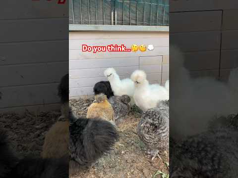 Is this for real 😳😳