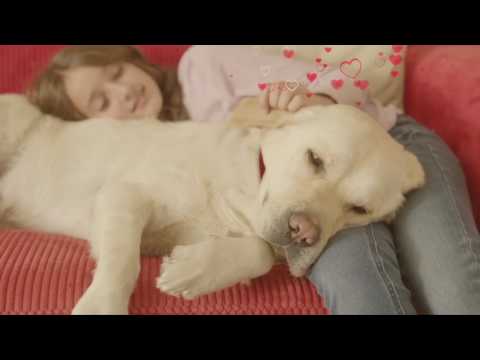 healthy mobility small bites