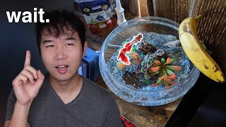 BETTA FISH BOWL DONE RIGHT | Fish Tank Review 279
