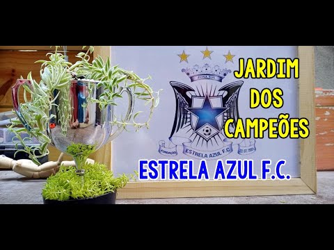 CAMPEÃO 2020 - ESTRELA AZUL F.C. -