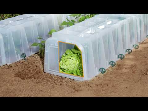 Tunel szklarniowy Sunny - zalety i zastosowanie | GARANTIA