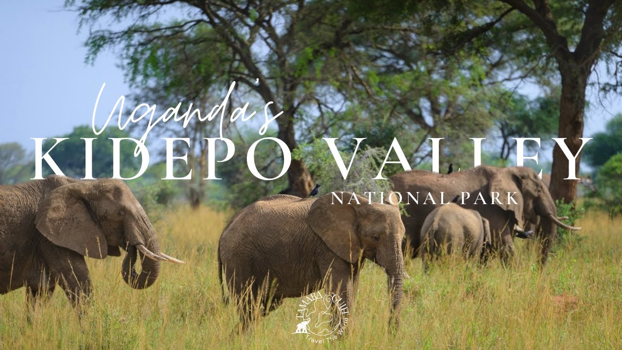 Kidepo Valley National Park, one of the most beautiful national parks in Uganda…!