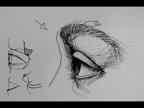 Pen and Ink Drawing Tutorials | How to draw an eye in side view