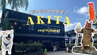 도쿄 사는 집순이 | 무더운 여름, 조용했던 아키타🍉