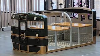 A Visit to Shin-Takaoka from Kanazawa | Trains 電車 城端線 | Japan 金沢から新高岡