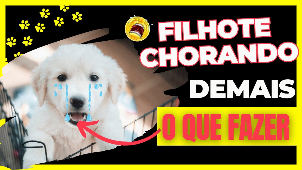 COMO FAZER O FILHOTE PARAR DE CHORAR | ENTENDA SEU CACHORRO