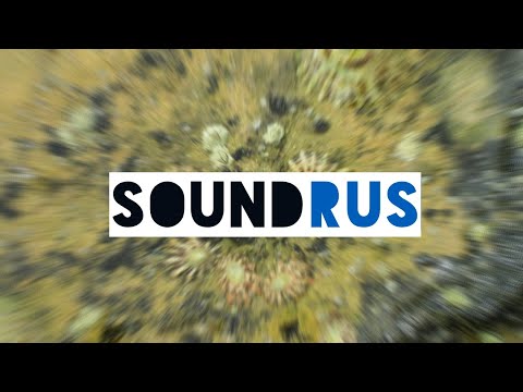 Pvpi Strz - Styly (OFFICIAL AUDIO)