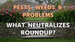 What Neutralizes Roundup?