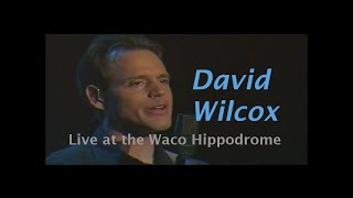 Guilty Either Way - David Wilcox