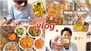 【vlog】お弁当の作り置き7品作る🍱とある1日vlog👨🏻‍🍳🍳【同姓カップル】