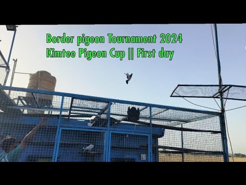 Border Tournament || Kimtee Pigeon Cup 2024 || First Day || R.s.Pura