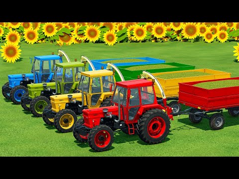 CUT SUNFLOWERS AND MAKE CHAFF WITH FIAT FORAGE TRACTORS - Farming Simulator 22