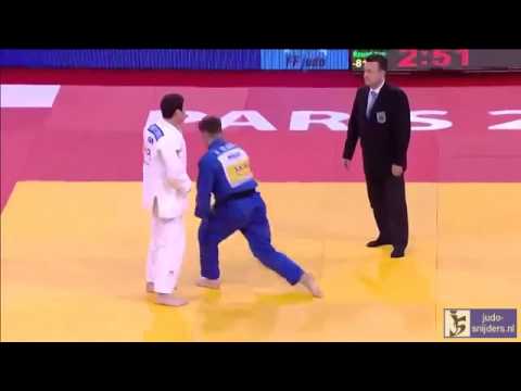 Judo 2014 Grand Slam Paris: Tchrikishvili (GEO) - van de Kamer (NED) [-81kg]