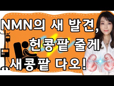 장수물질 NMN과 신장기능 회복(feat. 신장투석/신장이식)🎉 구독자 선물 이벤트 3탄! 🎁