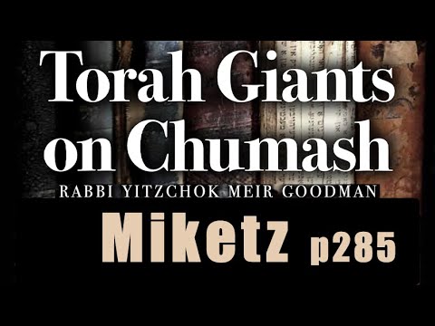 Miketz 5786 - True Cause And Effect  - Steven Geller