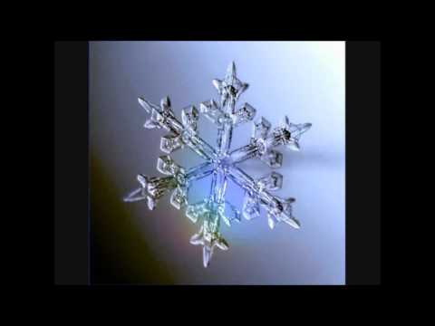 sarah brightman cover la califfa 2013