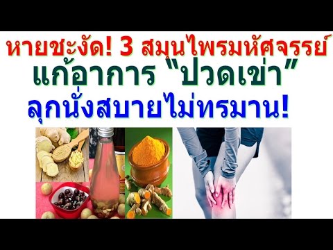 ฉันเกลียดสมาชิกเล็ก ๆ น้อย ๆ ผลกระทบ ArifOn ในความแรง