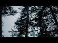 Dave Lubben - stand in awe (Lyric Video) ft. Callan Brown