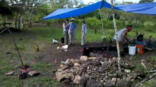 preview picture of video 'Excavations and Jute Snails at Actuncan, Cayo District, Belize'