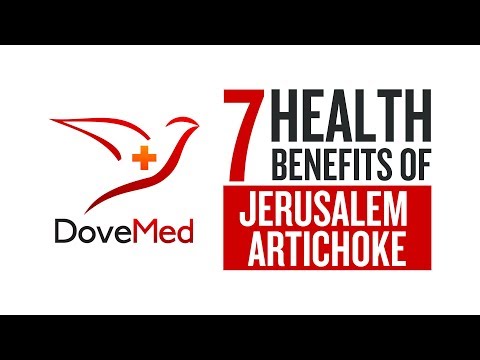 download lagu mp3 mp4 Jerusalem Artichoke Nutrition, download lagu Jerusalem Artichoke Nutrition gratis, unduh video klip Jerusalem Artichoke Nutrition