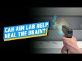 Can A Video Game Help Heal The Brain?